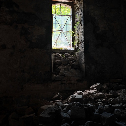 Photo #13988364