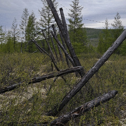 Photo #13988379
