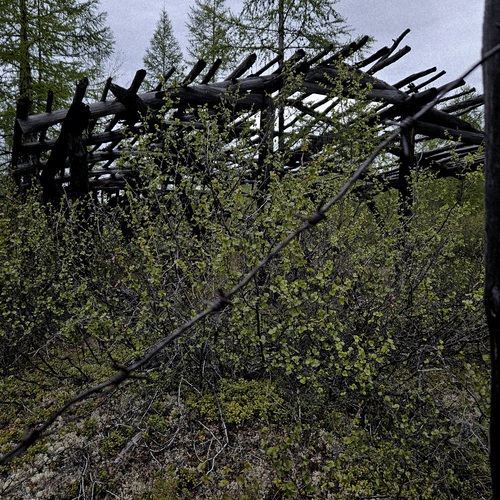 Photo #13988381