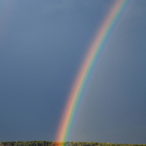 Photo #13988519