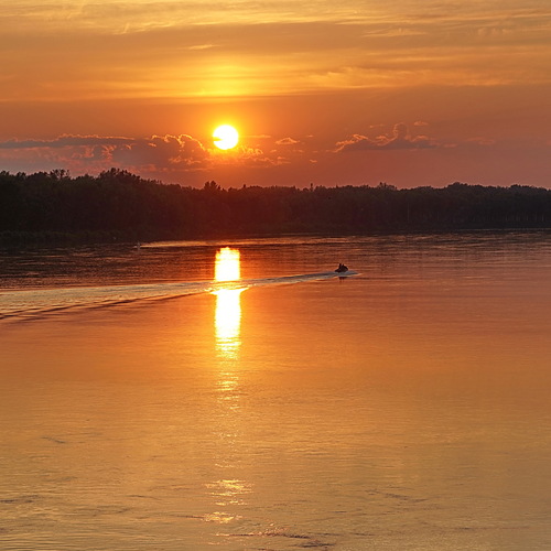 Photo #13988634