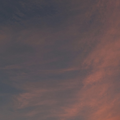 Photo #13988823