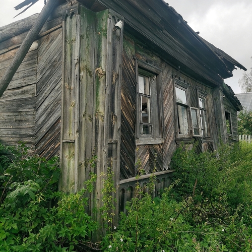 Photo #13988841