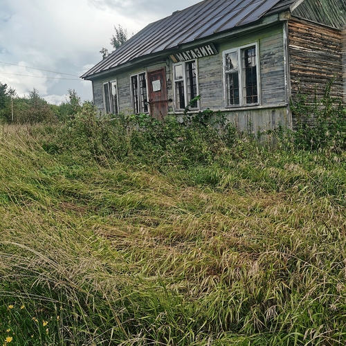 Photo #13988848