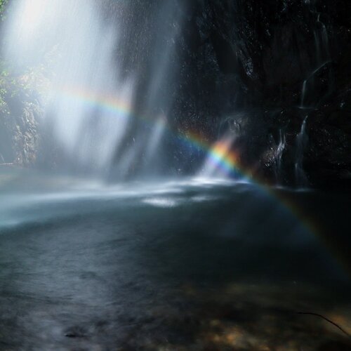 Photo #13988879