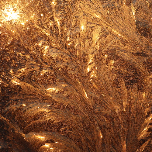 Photo #13988950