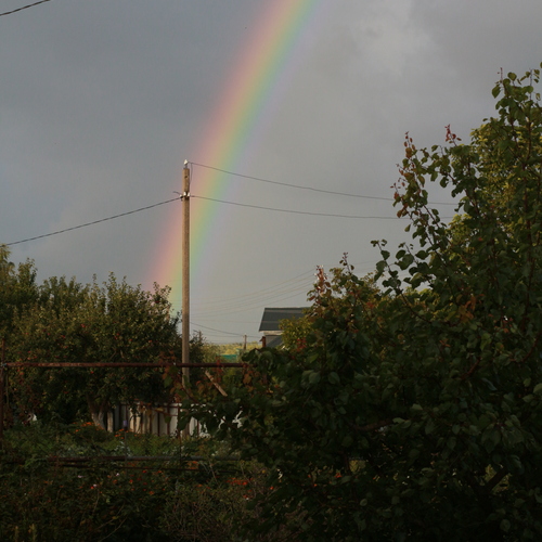 Photo #13989020