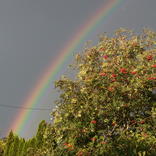 Photo #13989021