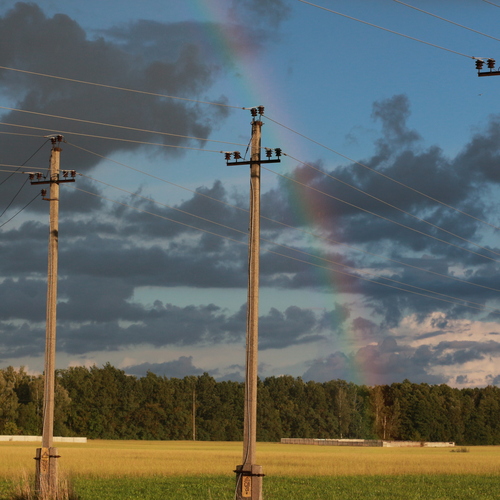 Photo #13989022