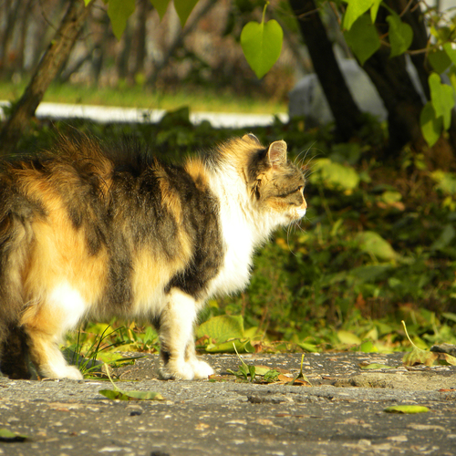 Photo #13989089