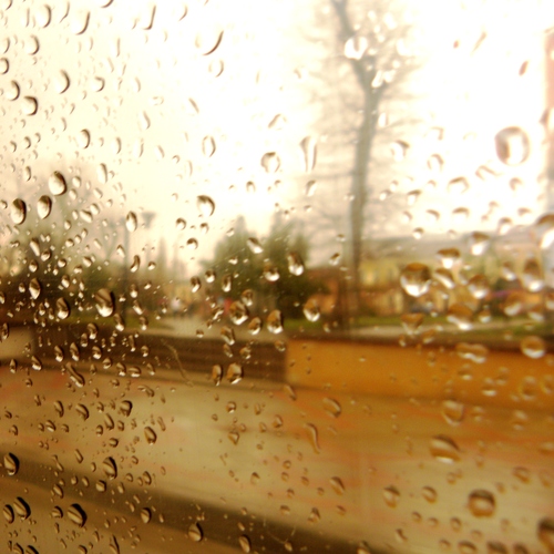 Photo #13989092