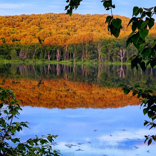 Photo #13989369
