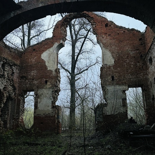 Photo #13989370