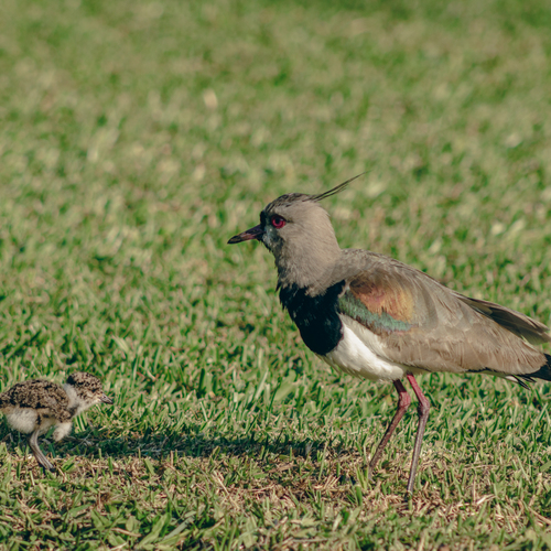 Photo #13989397