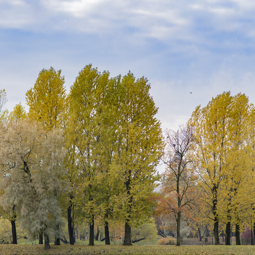 Photo #13989480