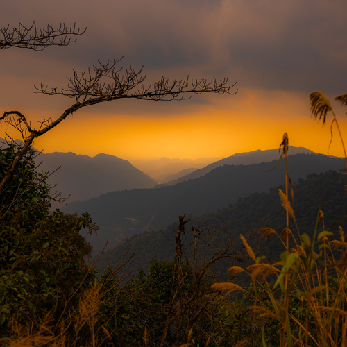 Photo #13989648