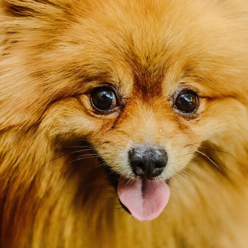 Photo #13989702