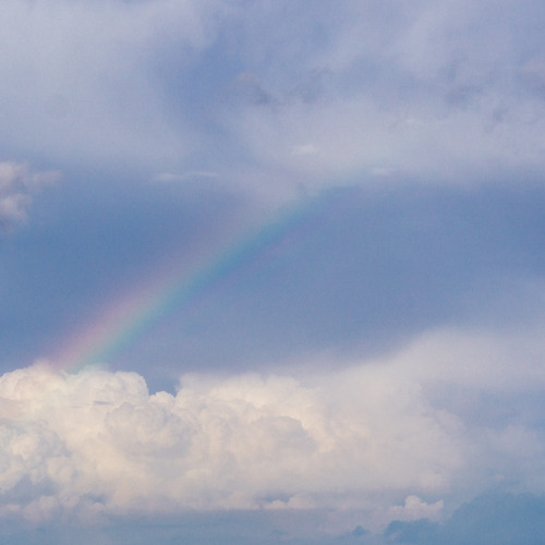Photo #13989811