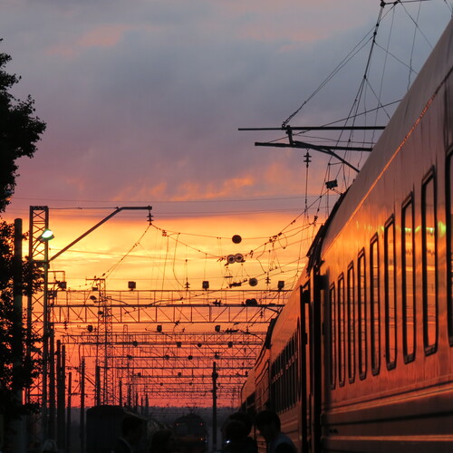 Photo #13989929