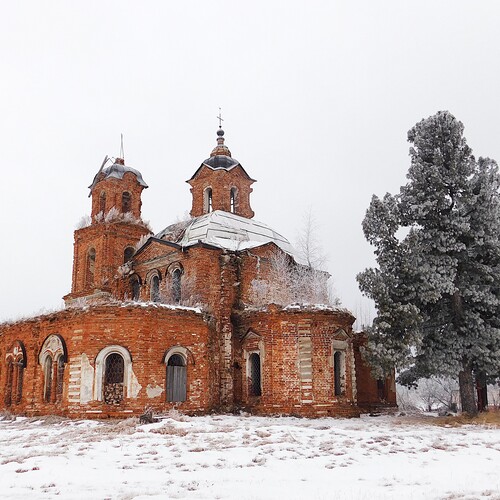 Photo #13990003