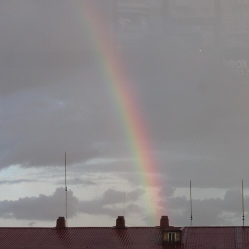 Photo #13990042