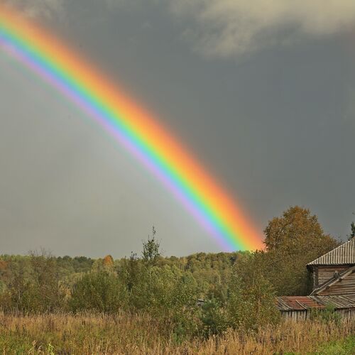 Photo #13990084
