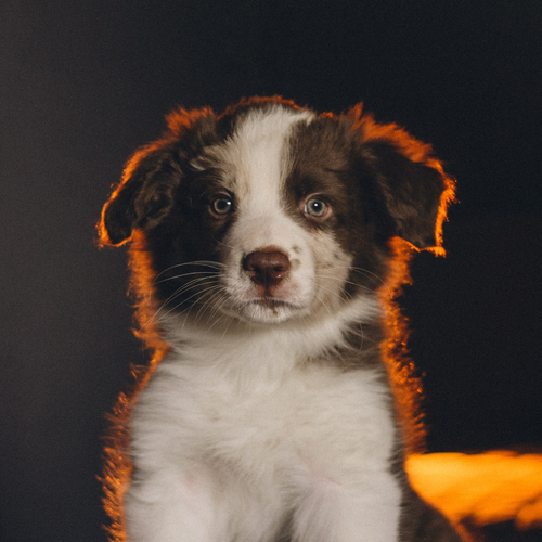 Photo #13990144
