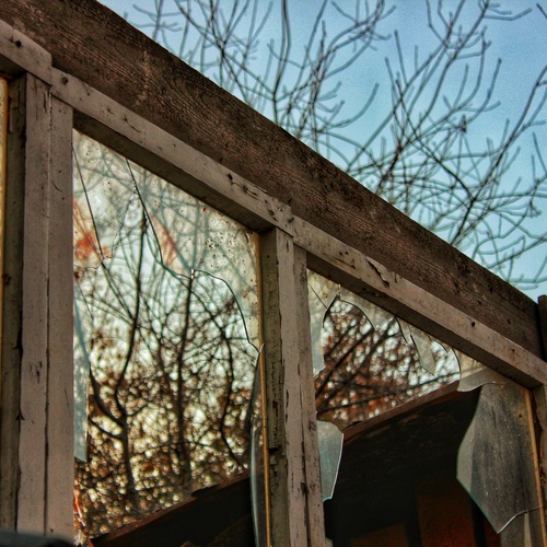 Photo #13990236