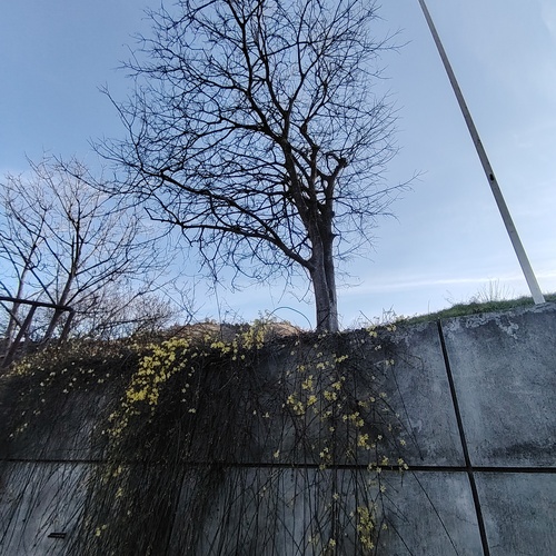 Photo #13990588