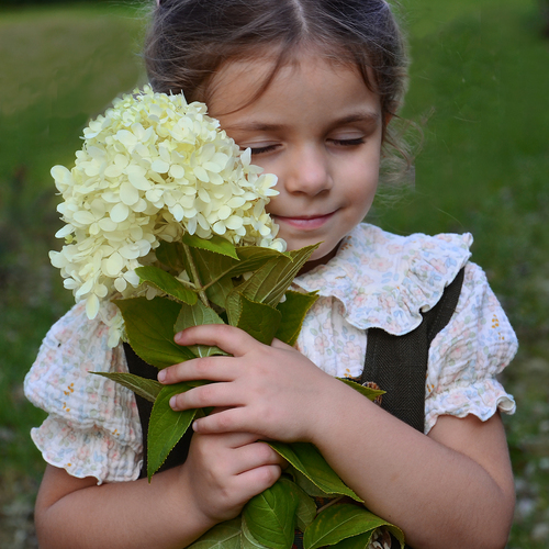 Photo #13990650