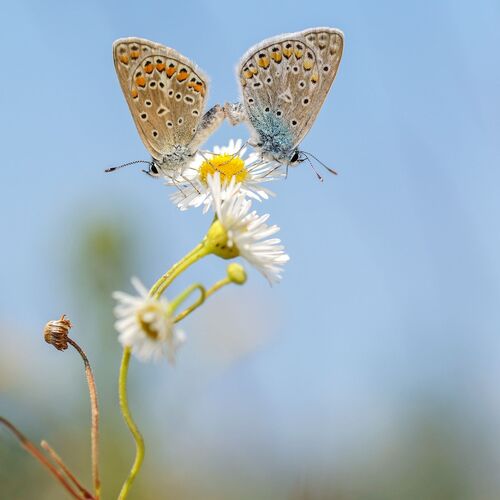 Photo #13990760