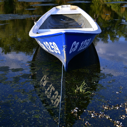 Blue reflection