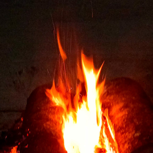 Photo #13990841