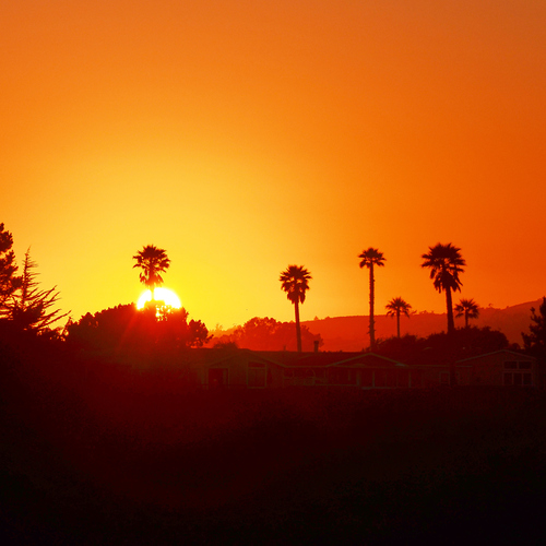 Photo #13990981