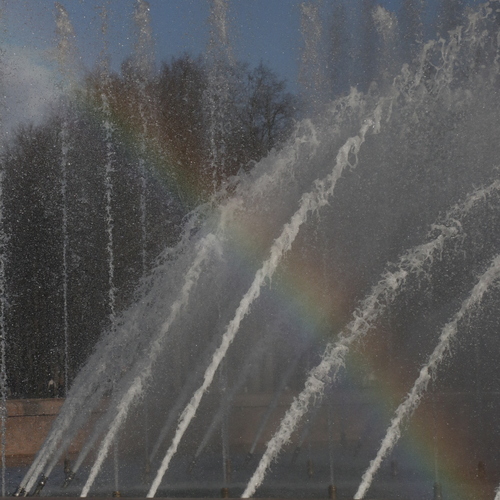 Photo #13991066