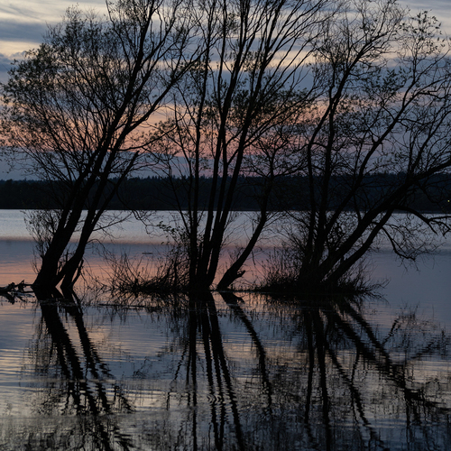 Photo #13991086