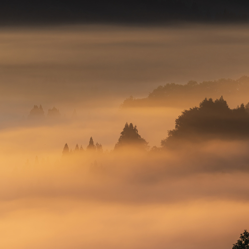 Photo #13991581
