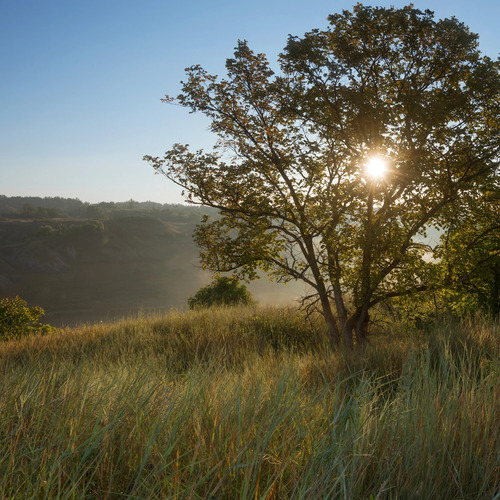 Photo #13991614