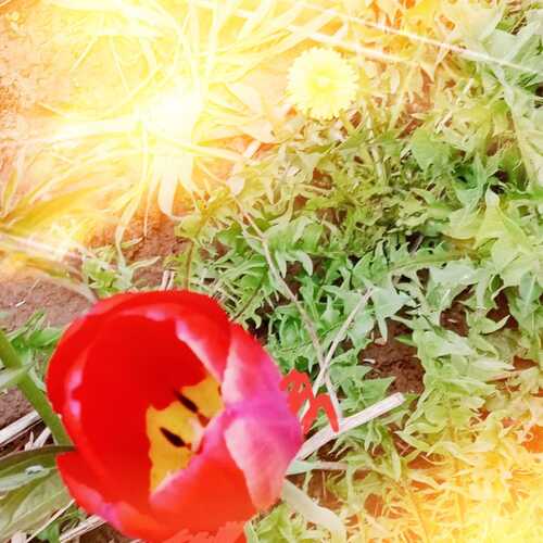 Photo #13991796