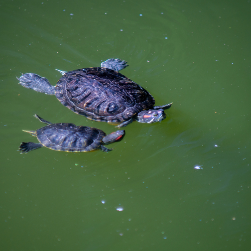 Photo #13992002