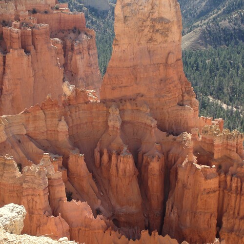 Photo #13992073
