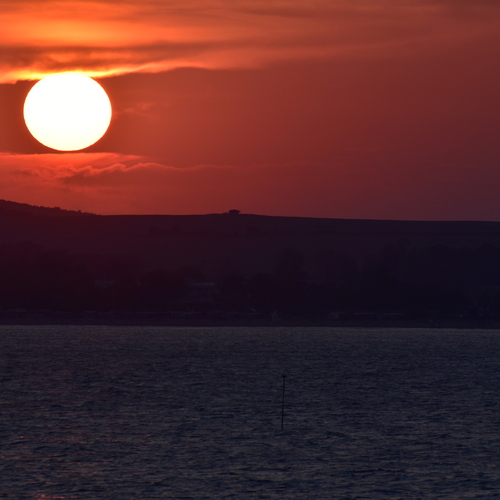 Photo #13992576