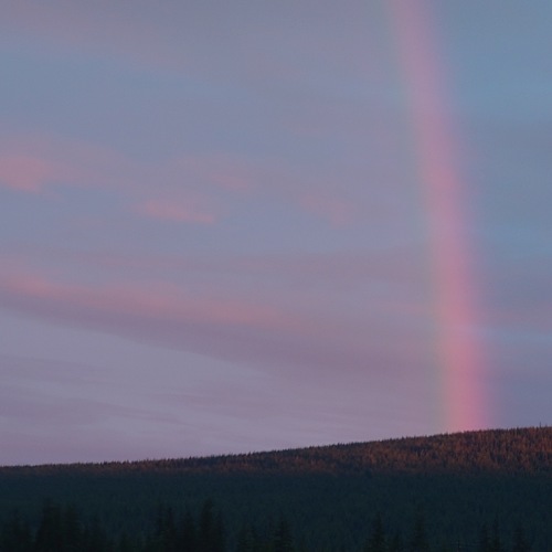 Photo #13992598