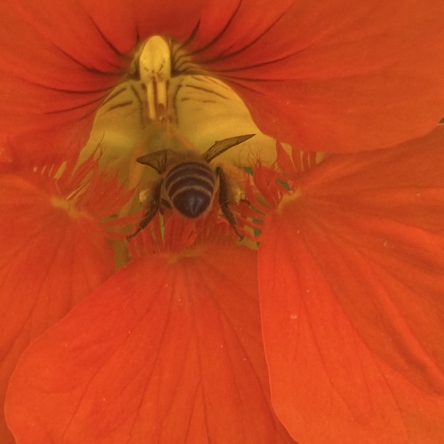 Photo #13992661