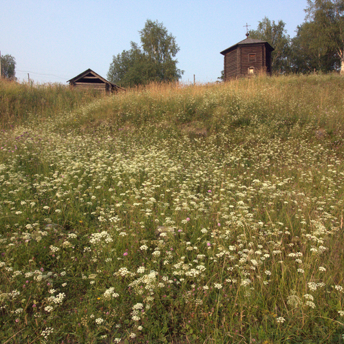 Photo #13992720