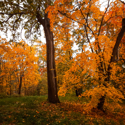 Photo #13992783