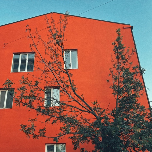 Photo #13992841
