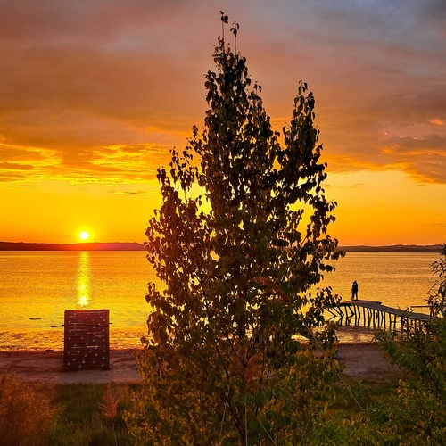 Photo #13992969