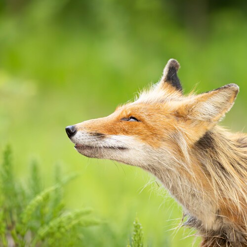 Photo #13993030
