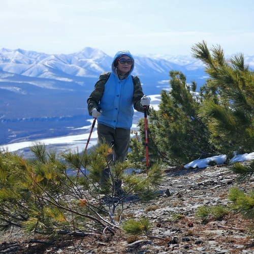 Photo #13993033